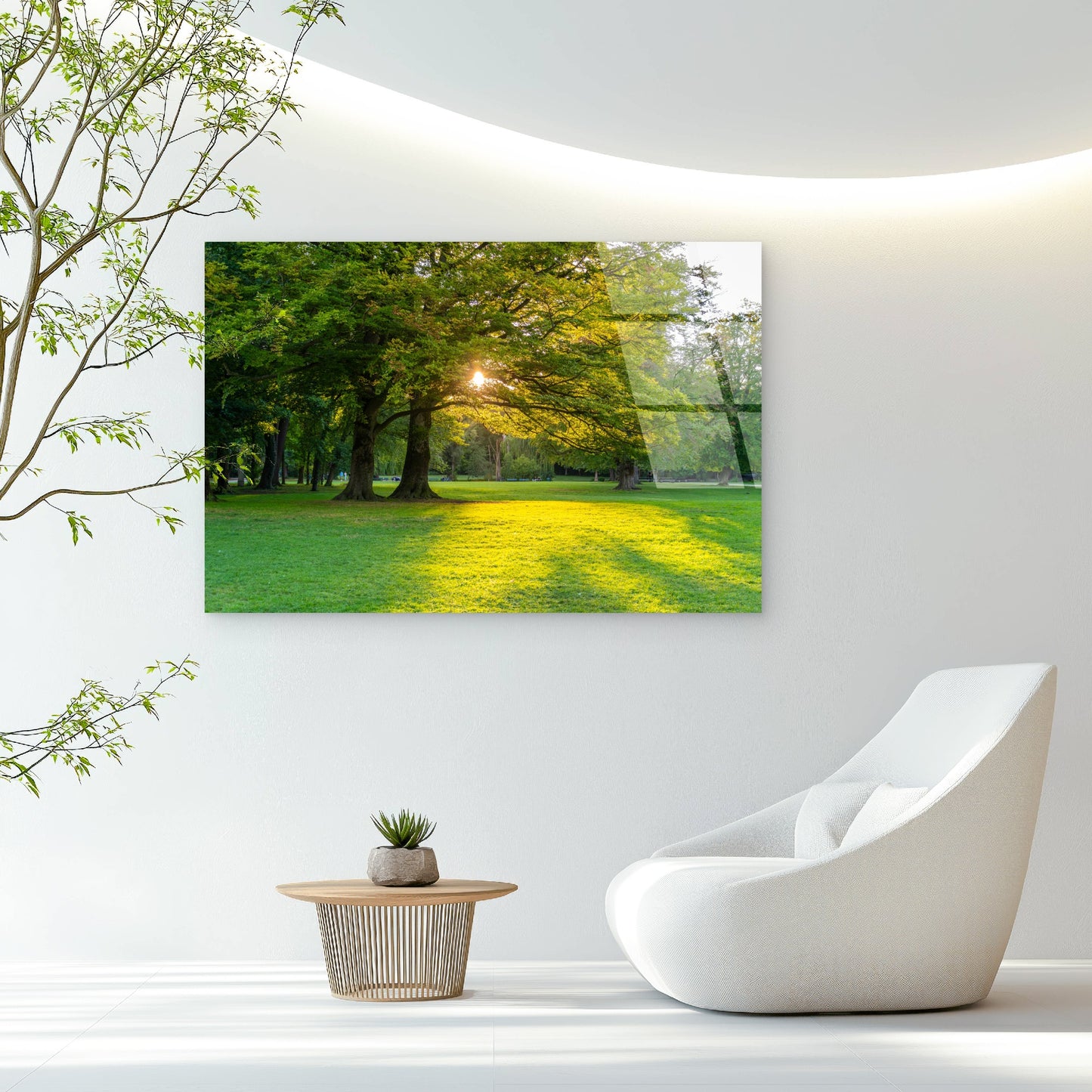 Green Park Sun Flare Meadow Tree Acrylic Glass Printing Wall Art Australian Made Quality