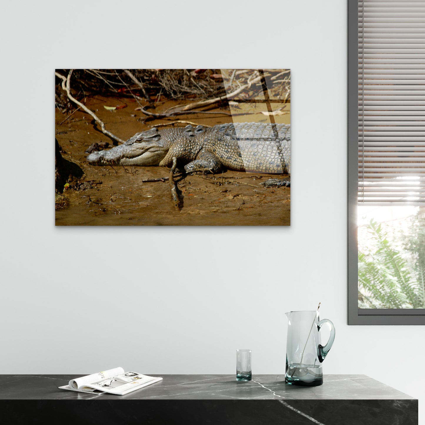 Kakadu Estuarine Crocodile River Bank Acrylic Glass Printing Wall Art Australian Made Quality