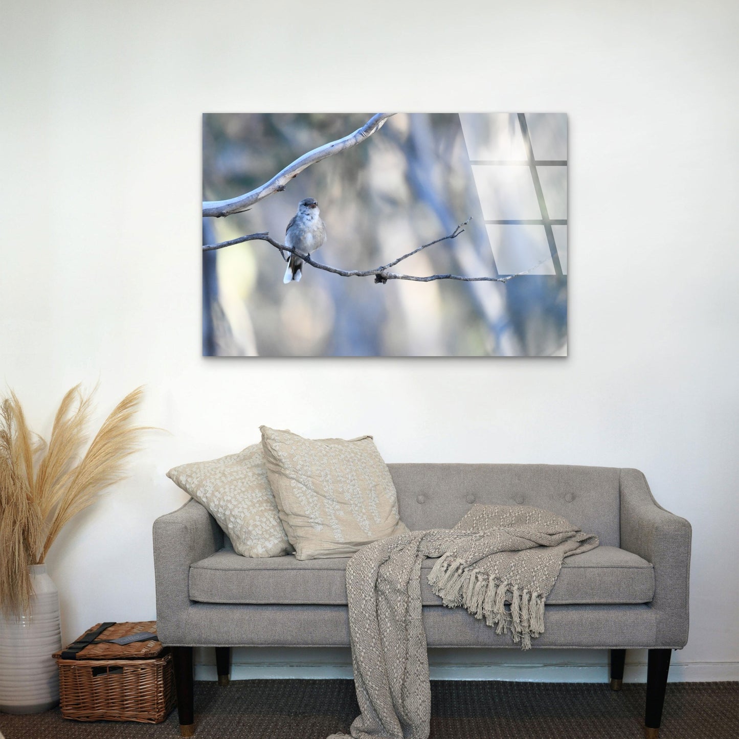 Jacky Winter Native Australian Bird Acrylic Glass Printing Wall Art Australian Made Quality