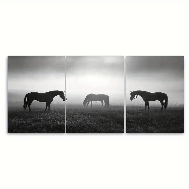 3pcs Minimal Equisterian Horse Monochrome Wall Art Set Canvas Framed 50x70cm - High Quality Print 100% Australian Made Wall Canvas Ready to Hang