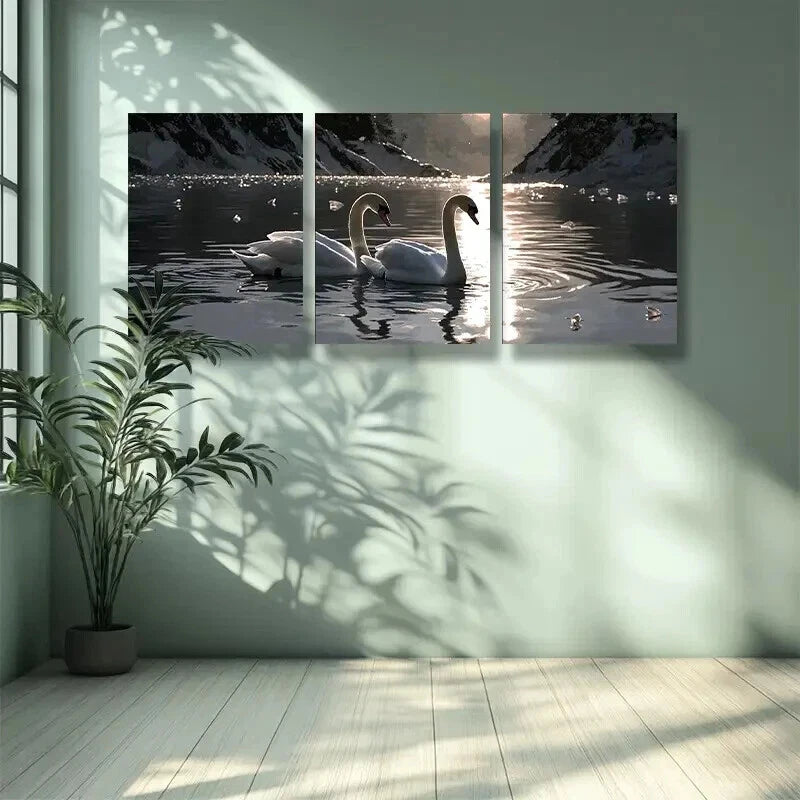 3pcs Water Swan Nature Wall Art Set Canvas Framed 50x70cm - High Quality Print 100% Australian Made Wall Canvas Ready to Hang