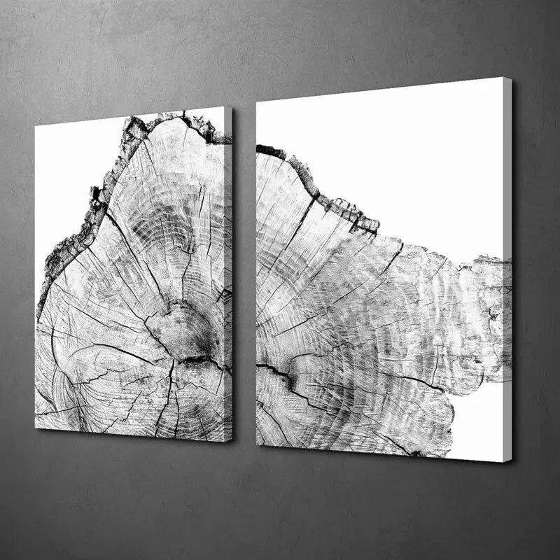 2pcs Wooden Texture In Shades of Black and White Canvas Framed 50x75cm - High Quality Print 100% Australian Made Wall Canvas Ready to Hang - Bella Home Decor