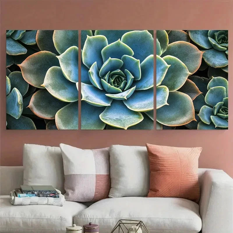 3pcs Echeveria Succulent Macro Botanical Wall Art Set Canvas Framed 40x60cm - High Quality Print 100% Australian Made Wall Canvas Ready to Hang - Bella Home Decor