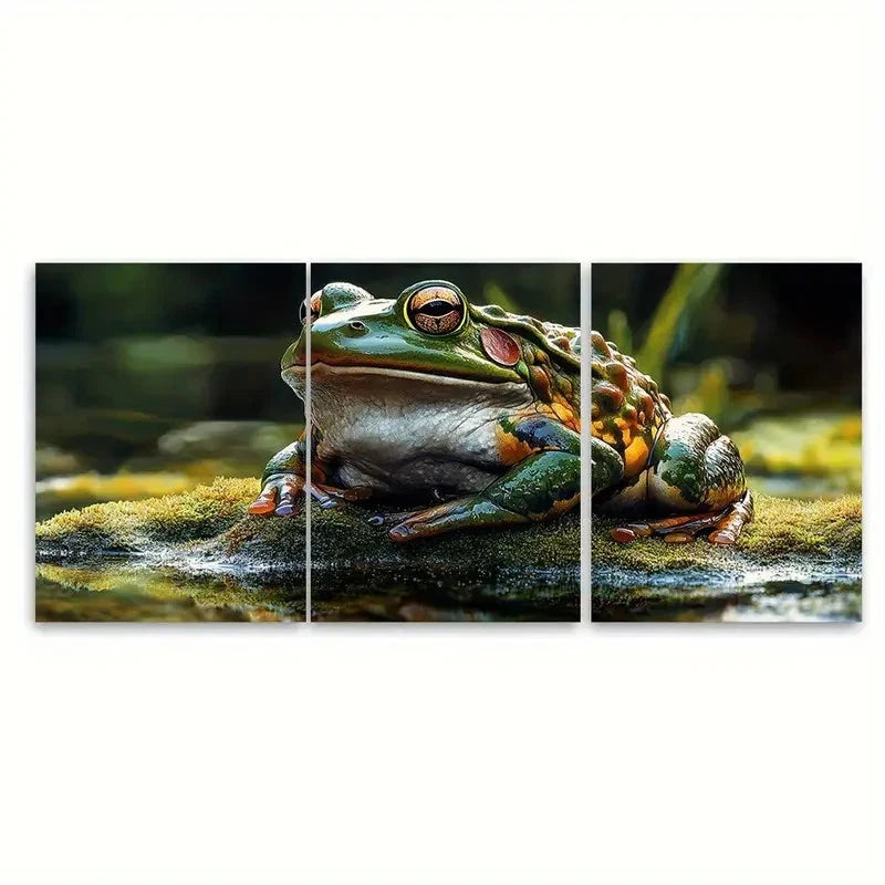 3pcs Matsumoto Hoji Japanese Grumpy Frog Wall Art Set Canvas Framed 40x60cm - High Quality Print 100% Australian Made Wall Canvas Ready to Hang