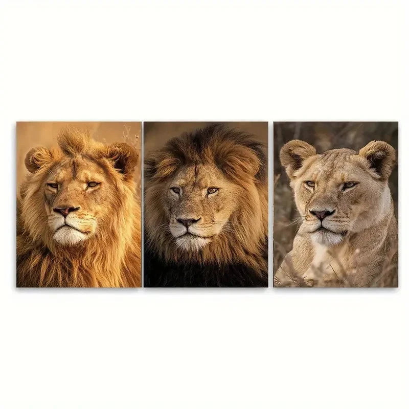3pcs Lion Botswana African Photography, Safari Wall Art Set Canvas Framed 40x60cm - High Quality Print 100% Australian Made Wall Canvas Ready to Hang