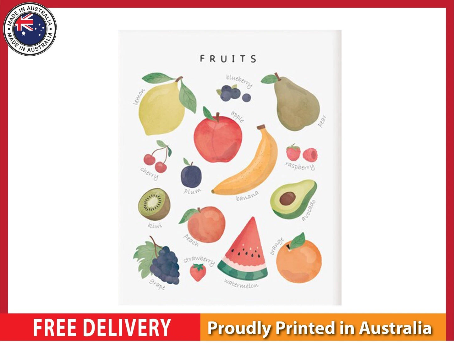 NEW (LAMINATED) Fruit Poster (61X91CM) Educational CHART PICTURE PRINT