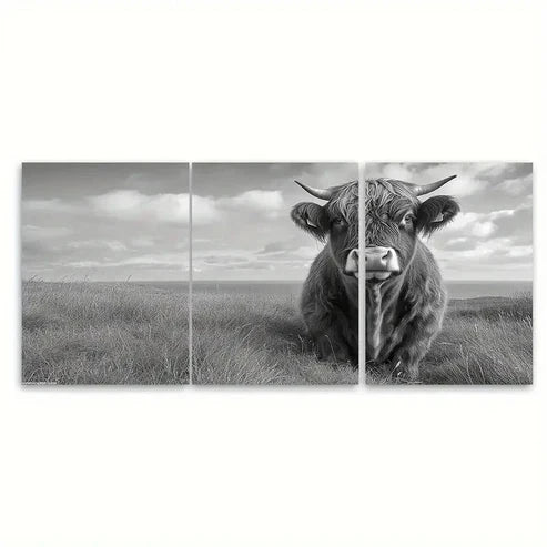 3pcs Black & White Rustic Scottish Highland Bull Wall Art Canvas Unframed - High Quality Print 100% Australian Made Wall Canvas - Bella Home Decor