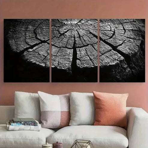 3pcs Abstract Monochrome Tree Trunk Cross Section Wall Art Set Canvas Unframed - High Quality Print 100% Australian Made Wall Canvas - Bella Home Decor