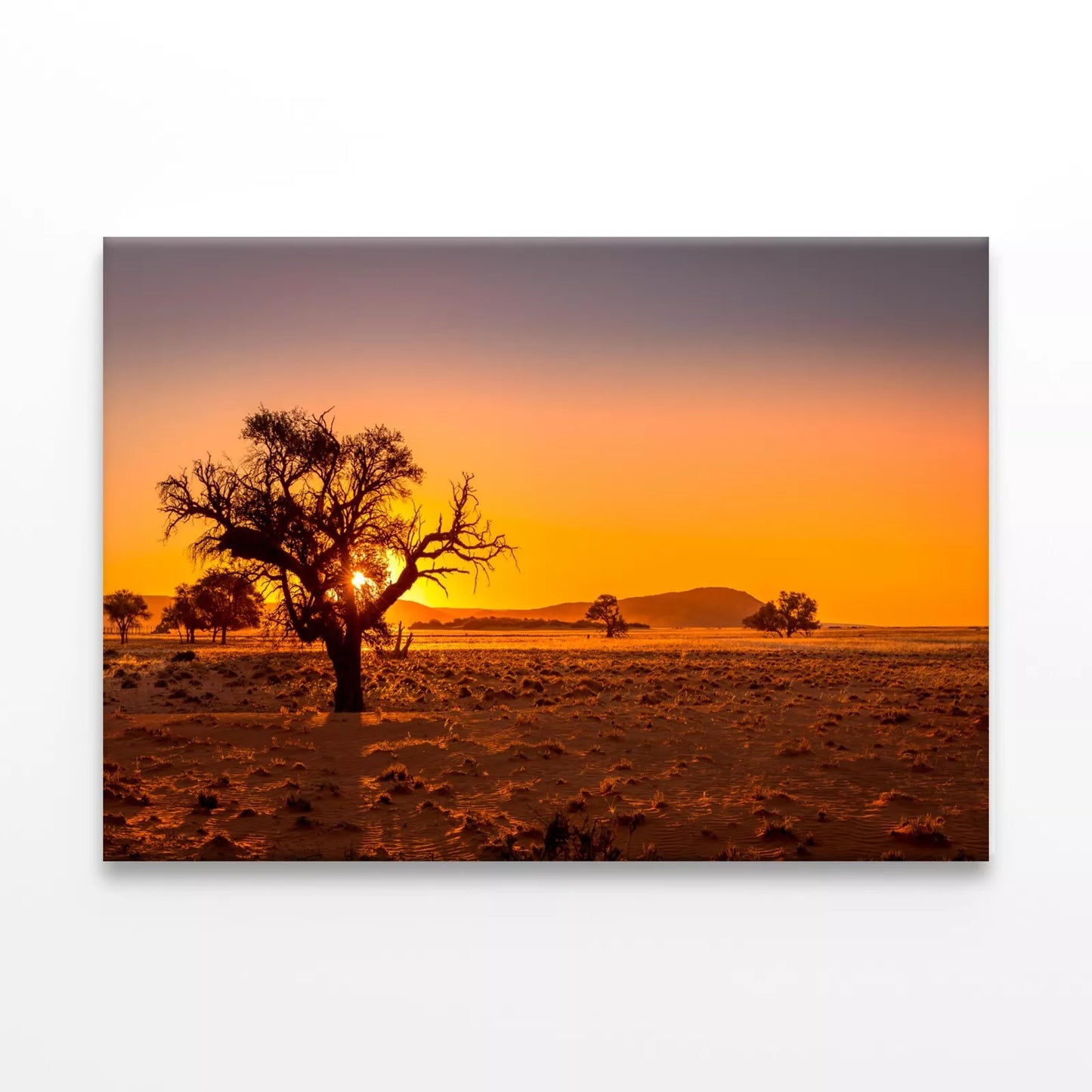 Grassy Steppe, Camel Thorn Trees Wall Art Decor 100% Australian Made - Bella Home Decor