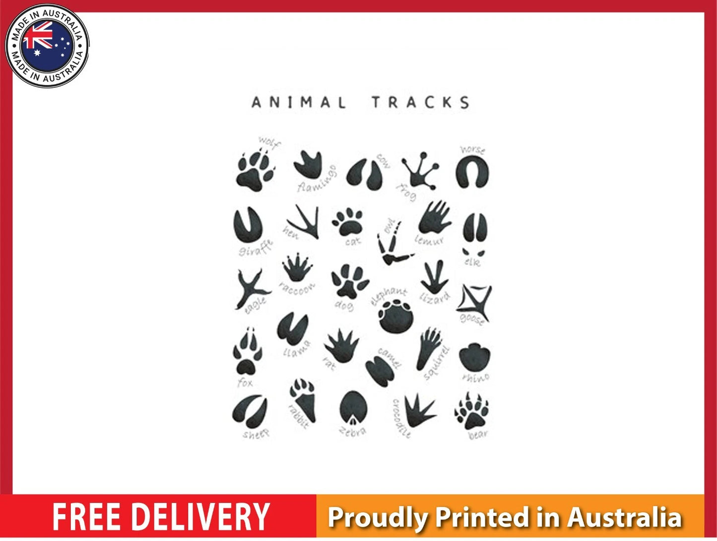 NEW (LAMINATED) Animal Tracks (61X91CM) Educational CHART PICTURE PRINT