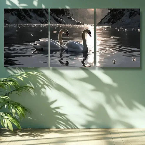 3pcs Water Swan Nature Wall Art Set Canvas Unframed - High Quality Print 100% Australian Made Wall Canvas