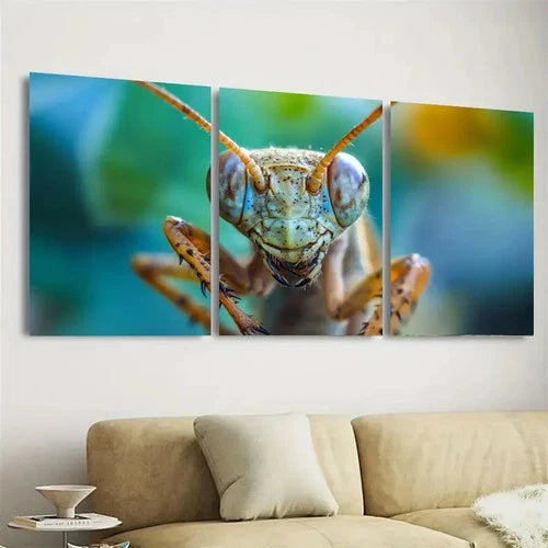 3pcs I Love Insects Wall Art Set Canvas Framed 50x70cm - High Quality Print 100% Australian Made Wall Canvas Ready to Hang