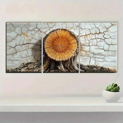 3pcs Tree Rings Abstract White Wall Art Set Canvas Framed 60x90cm - High Quality Print 100% Australian Made Wall Canvas Ready to Hang