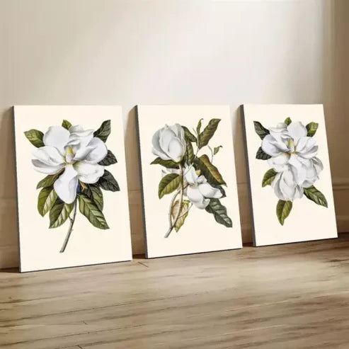3pcs Maglia Flower Art Canvas Unframed - High Quality Print 100% Australian Made Wall Canvas
