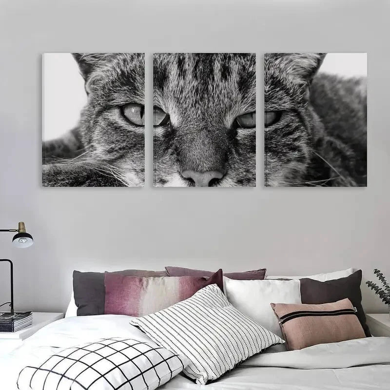 3pcs Modern Black and White Tabby Cat Deco Wall Art Set Canvas Framed 50x70cm - High Quality Print 100% Australian Made Wall Canvas Ready to Hang