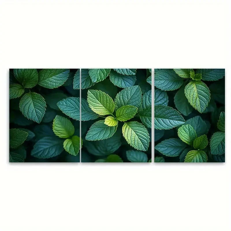 3pcs Tranquil Green Foliage TI Wall Art Set Canvas Framed 50x70cm - High Quality Print 100% Australian Made Wall Canvas Ready to Hang