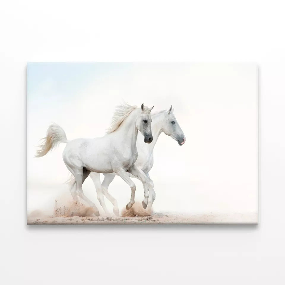 Two Beautiful Snowy White Horses Wall Art Decor 100% Australian Made - Bella Home Decor