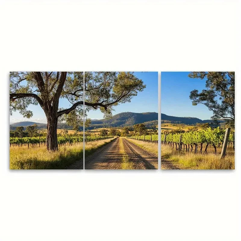 3pcs Hunter Valley Australian i Wall Art Set Canvas Framed 50x70cm - High Quality Print 100% Australian Made Wall Canvas Ready to Hang