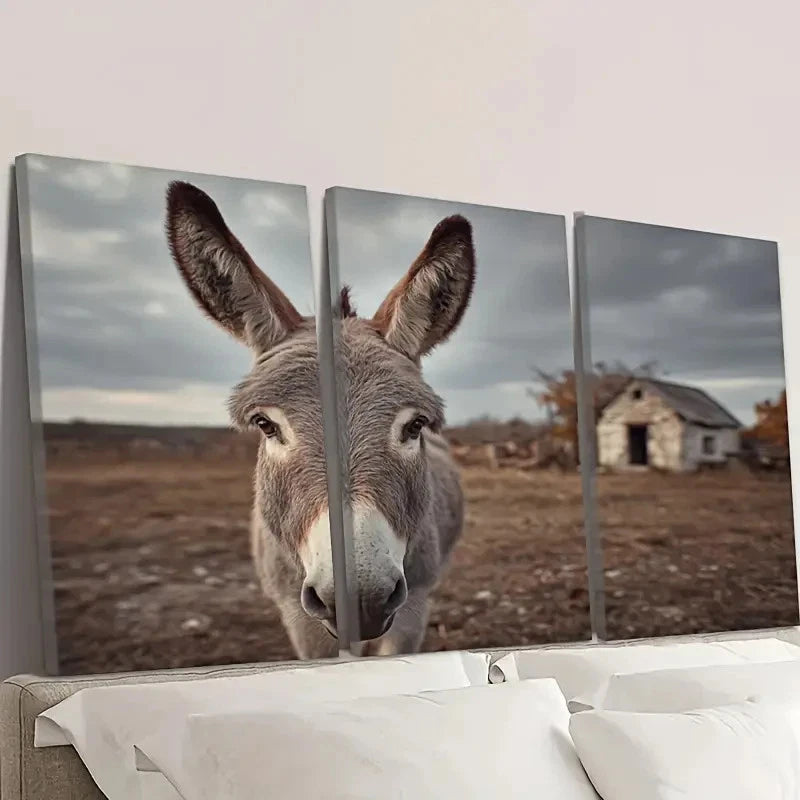 3pcs Farm Animal Donkey Wall Art Set Canvas Framed 40x60cm - High Quality Print 100% Australian Made Wall Canvas Ready to Hang