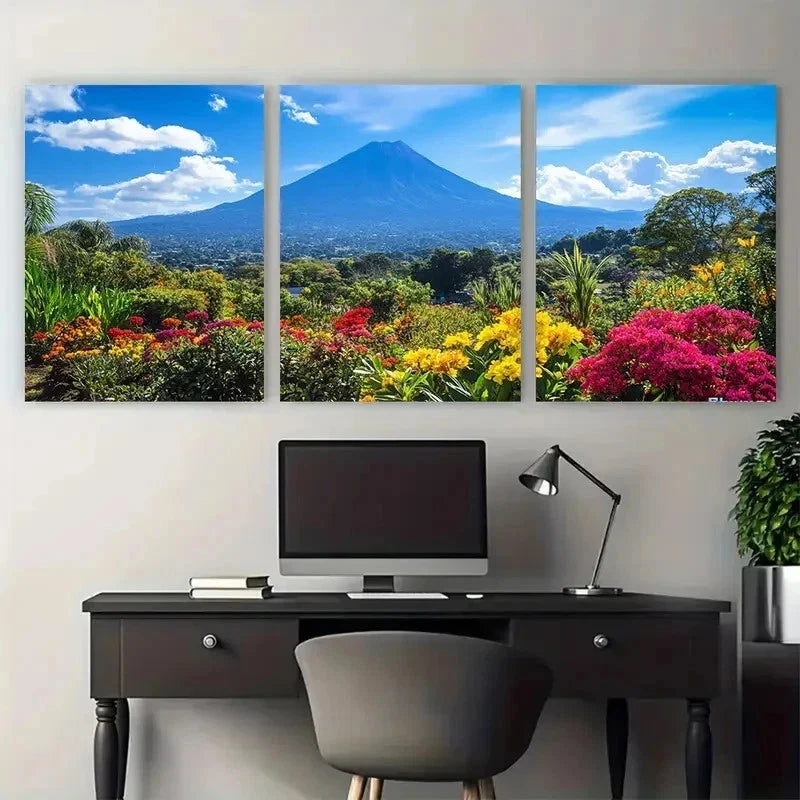 3pcs Botanical Décor Salvador Travel Perfect Wall Art Set Canvas Framed 50x70cm - High Quality Print 100% Australian Made Wall Canvas Ready to Hang - Bella Home Decor