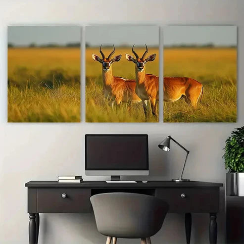 3pcs South Sudan Wildlife Décor Perfect Wall Art Canvas Unframed - High Quality Print 100% Australian Made Wall Canvas