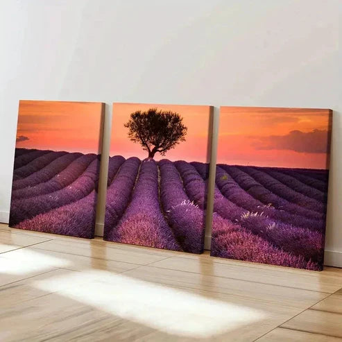 3pcs Vibrant Lavender Field with Sunset Wall Art Set Canvas Unframed - High Quality Print 100% Australian Made Wall Canvas