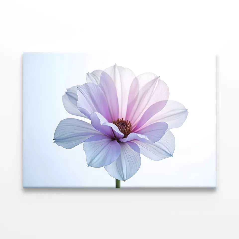 Colorful Abstract Flowers Wall Art Decor 100% Australian Made - Bella Home Decor