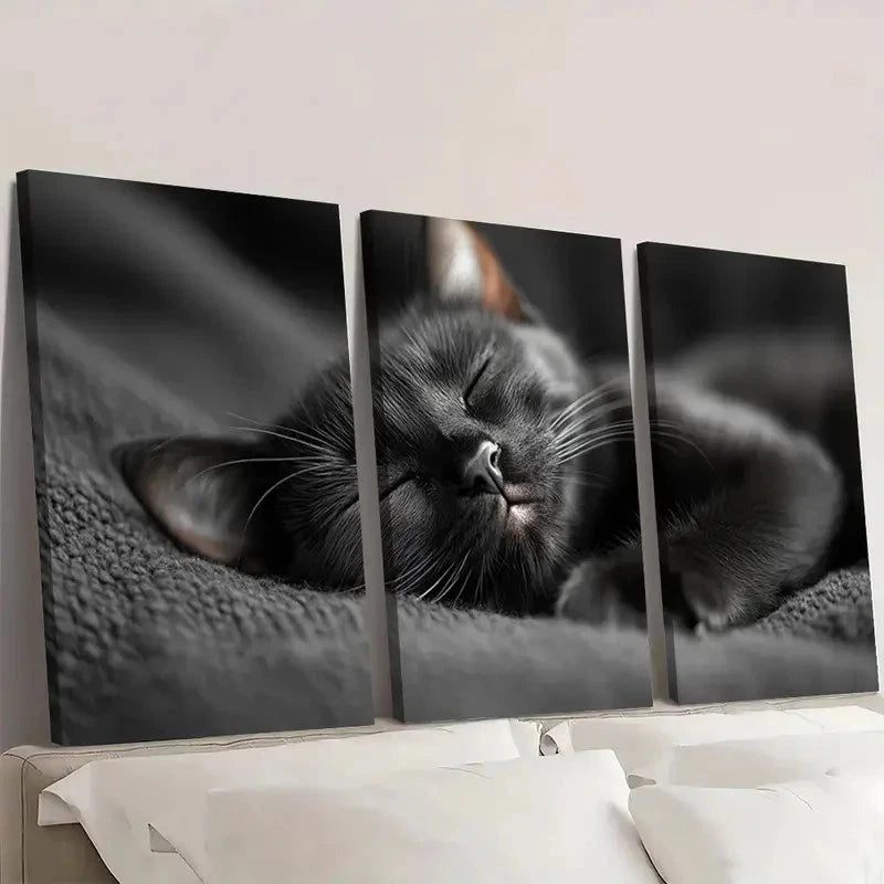 3pcs Black Cat Sleeping Vintage Aesthetic Wall Art Set Canvas Framed 60x90cm - High Quality Print 100% Australian Made Wall Canvas Ready to Hang - Bella Home Decor