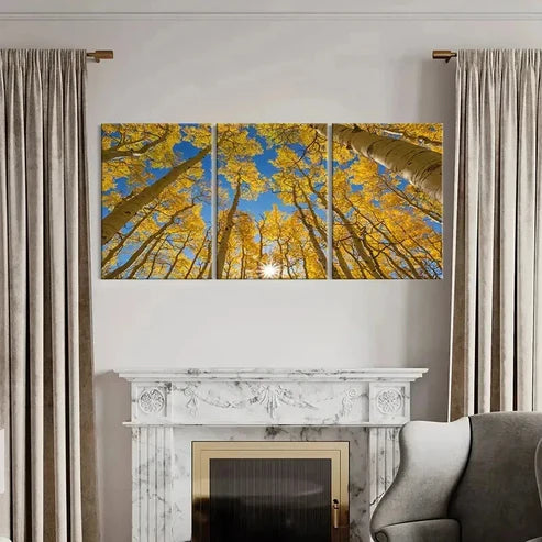 3pcs Autumn Golden Birch Forest Landscape Wall Art Canvas Unframed - High Quality Print 100% Australian Made Wall Canvas