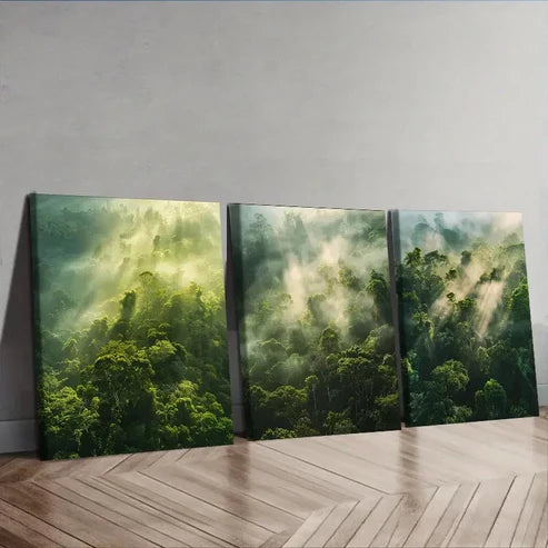3pcs Depicting a Thick Forest Enveloped in Fog Wall Art Canvas Unframed - High Quality Print 100% Australian Made Wall Canvas - Bella Home Decor