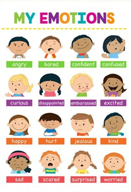 NEW (LAMINATED) My Emotions (61X91CM) Educational CHART PICTURE PRINT