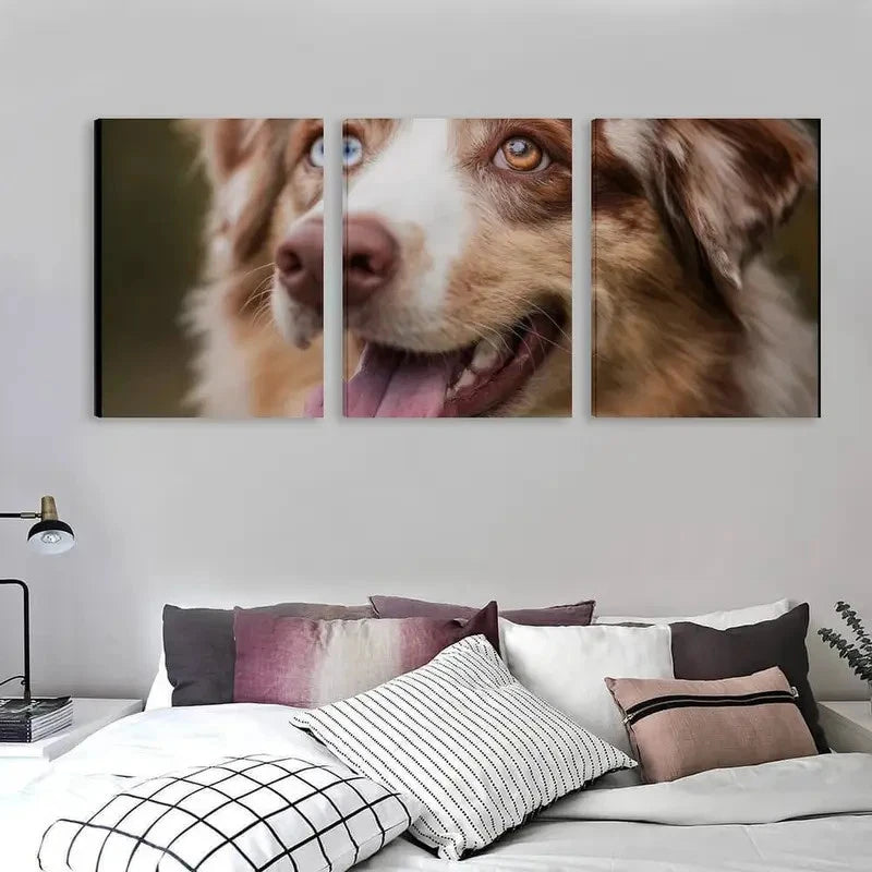 3pcs Australian Shepherd Dog Color Blue Eye Wall Art Set Canvas Framed 40x60cm - High Quality Print 100% Australian Made Wall Canvas Ready to Hang - Bella Home Decor