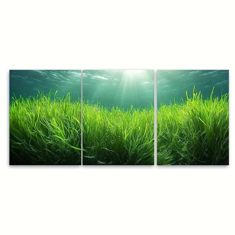 3pcs Green Eelgrass Ocean Scene RY Wall Art Set Canvas Framed 50x70cm - High Quality Print 100% Australian Made Wall Canvas Ready to Hang