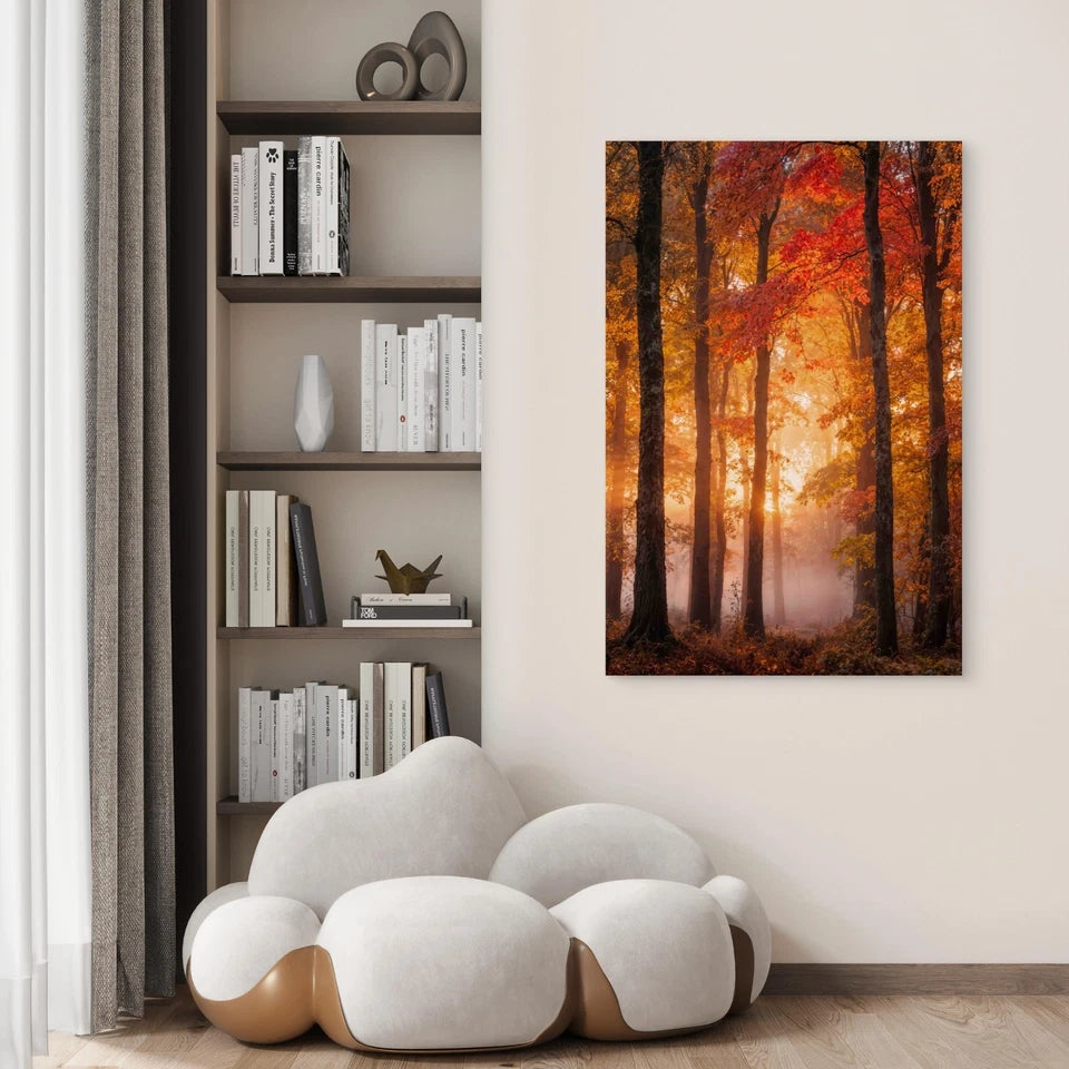 Autumnal Forest Scene 40x60cm Metal Print Ready to Hang