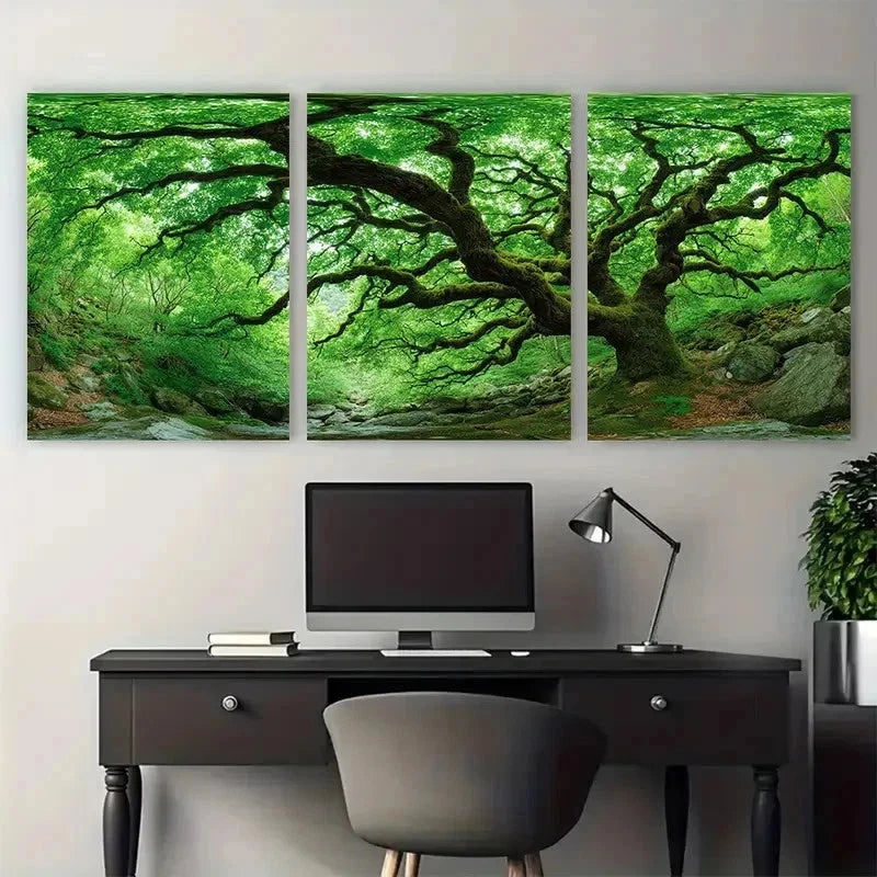3pcs Green Artwork Tree Photo Perfect Wall Art Set Canvas Framed 50x70cm - High Quality Print 100% Australian Made Wall Canvas Ready to Hang