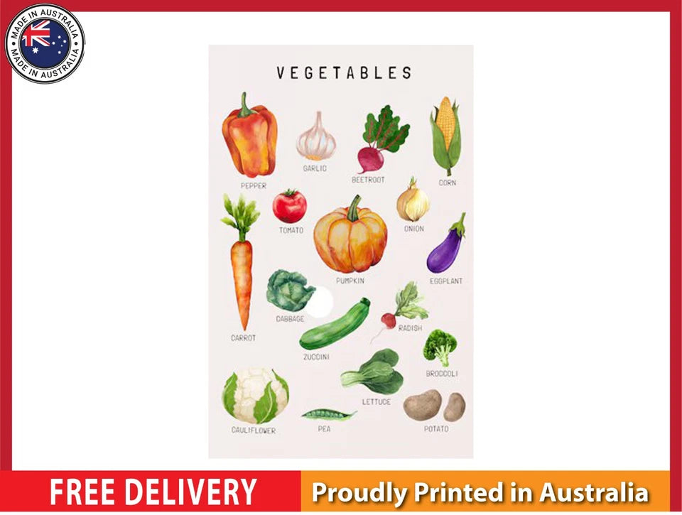 NEW (LAMINATED) Montessori Classroom (61X91CM) Vegetables CHART PICTURE PRINT