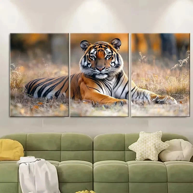 3pcs Resting in Tiger Reserve National Park Wall Art Set Canvas Framed 60x90cm - High Quality Print 100% Australian Made Wall Canvas Ready to Hang