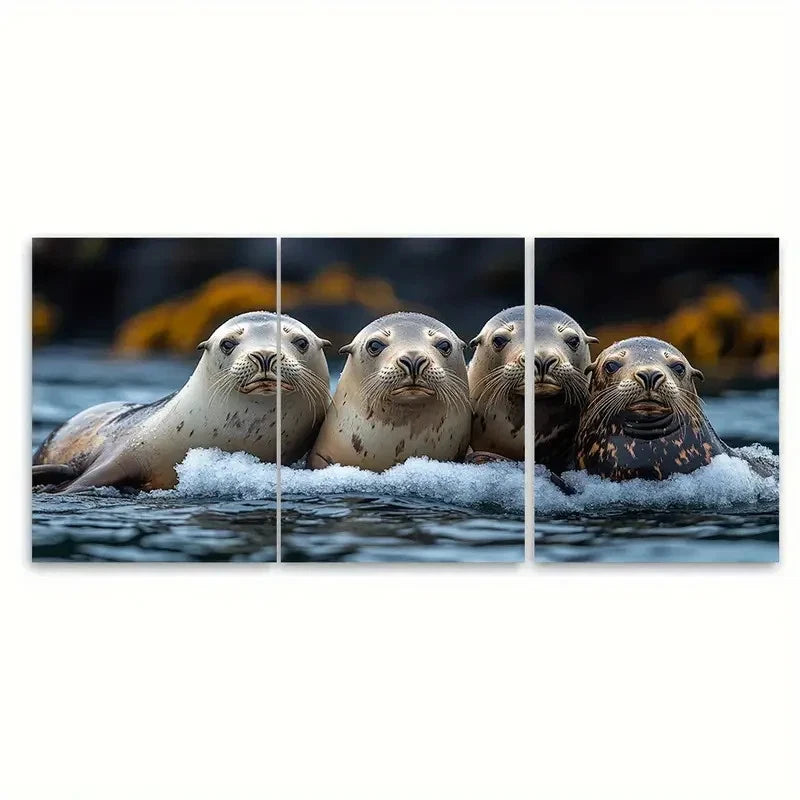 3pcs Sea Lions Huddled ri Wall Art Set Canvas Framed 50x70cm - High Quality Print 100% Australian Made Wall Canvas Ready to Hang