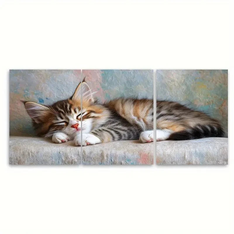 3pcs Serene Siberian Kitten ki Wall Art Set Canvas Framed 50x70cm - High Quality Print 100% Australian Made Wall Canvas Ready to Hang
