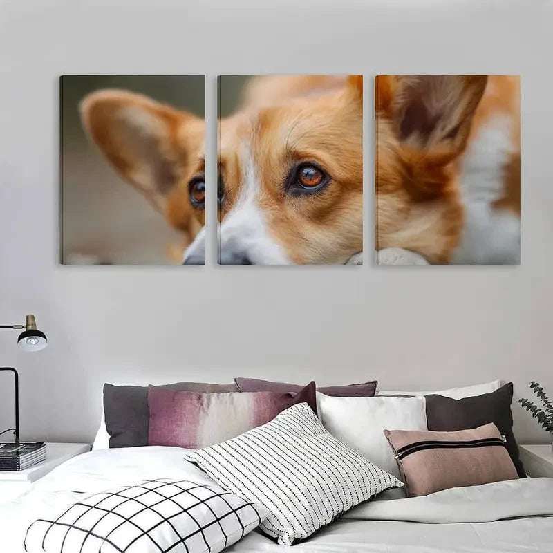 3pcs Adorable Welsh Corgi Dog Ground & Eyes Wall Art Set Canvas Framed 50x70cm - High Quality Print 100% Australian Made Wall Canvas Ready to Hang - Bella Home Decor