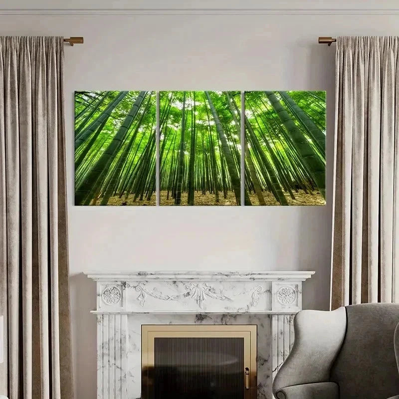 3pcs Green Bamboo Forest Natural Landscape Wall Art Set Canvas Framed 40x60cm - High Quality Print 100% Australian Made Wall Canvas Ready to Hang - Bella Home Decor