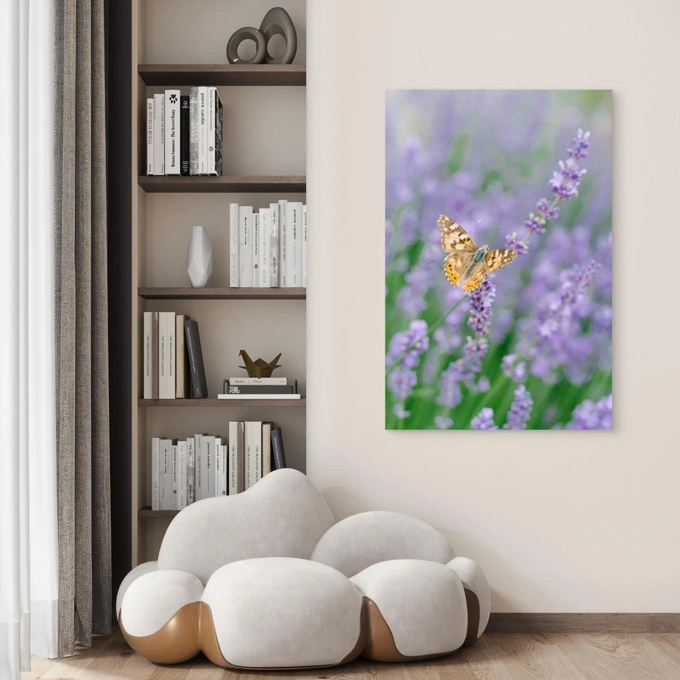 Butterfly Drinks Nectar Lavender Flower 40x60cm Metal Print Ready to Hang