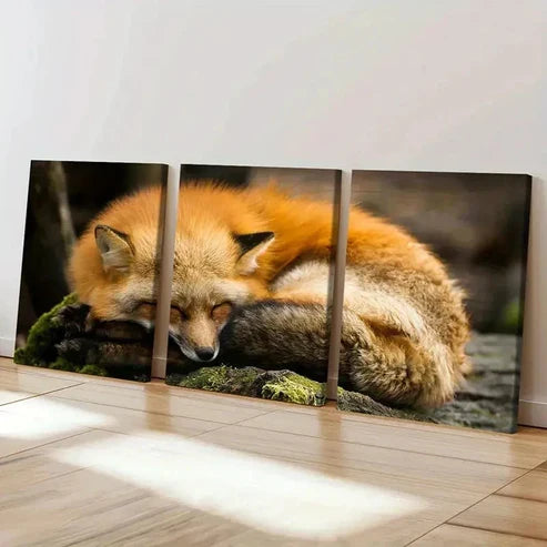 3pcs Orange Fox Sleeping on the Ground Wall Art Set Canvas Unframed - High Quality Print 100% Australian Made Wall Canvas