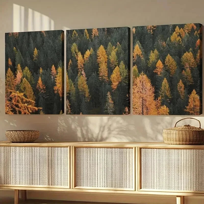 3pcs Autumn Pine Forest Colorado Scenery Wall Art Set Canvas Framed 50x70cm - High Quality Print 100% Australian Made Wall Canvas Ready to Hang