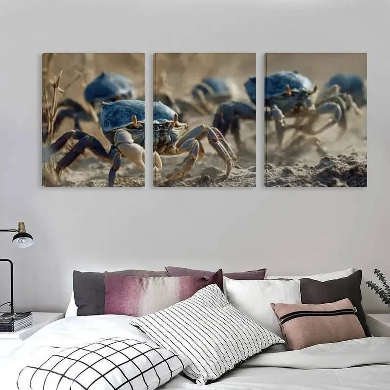 3pcs Group of Crabs Carrying Blue Shells Wall Art Set Canvas Framed 60x90cm - High Quality Print 100% Australian Made Wall Canvas Ready to Hang