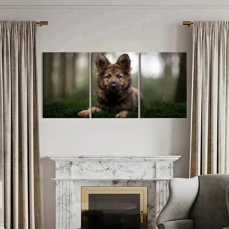 3pcs Brownish Dog Puppy Sitting on Grass Wall Art Set Canvas Framed 40x60cm - High Quality Print 100% Australian Made Wall Canvas Ready to Hang - Bella Home Decor