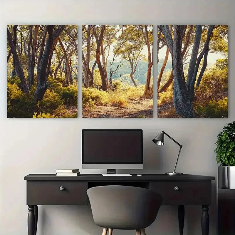 3pcs Margaret River Australia Landscape Wall Art Set Canvas Framed 40x60cm - High Quality Print 100% Australian Made Wall Canvas Ready to Hang
