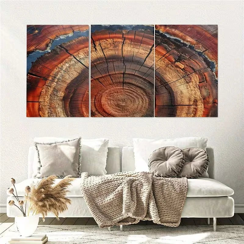 3pcs Wood Tree Ring Wall Art Set Canvas Framed 50x70cm – High Quality Print, 100% Australian Made, Ready to Hang - Bella Home Decor