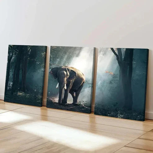 3pcs Elephant in Enchanted Forest Landscape Wall Art Set Canvas Unframed - High Quality Print 100% Australian Made Wall Canvas