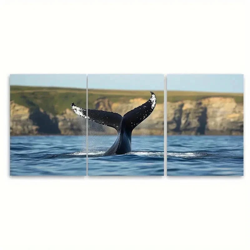 3pcs Cullernose Point Whale Back Folds ET Wall Art Set Canvas Framed 60x90cm - High Quality Print 100% Australian Made Wall Canvas Ready to Hang - Bella Home Decor